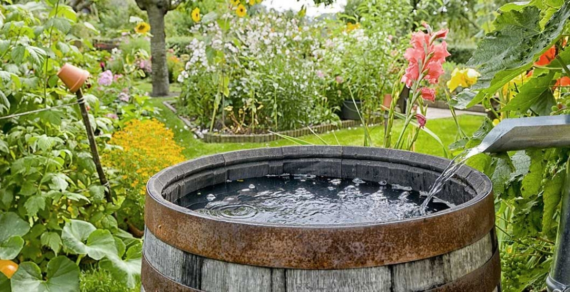 Techniques Alternatives : à quoi et pourquoi faire ?