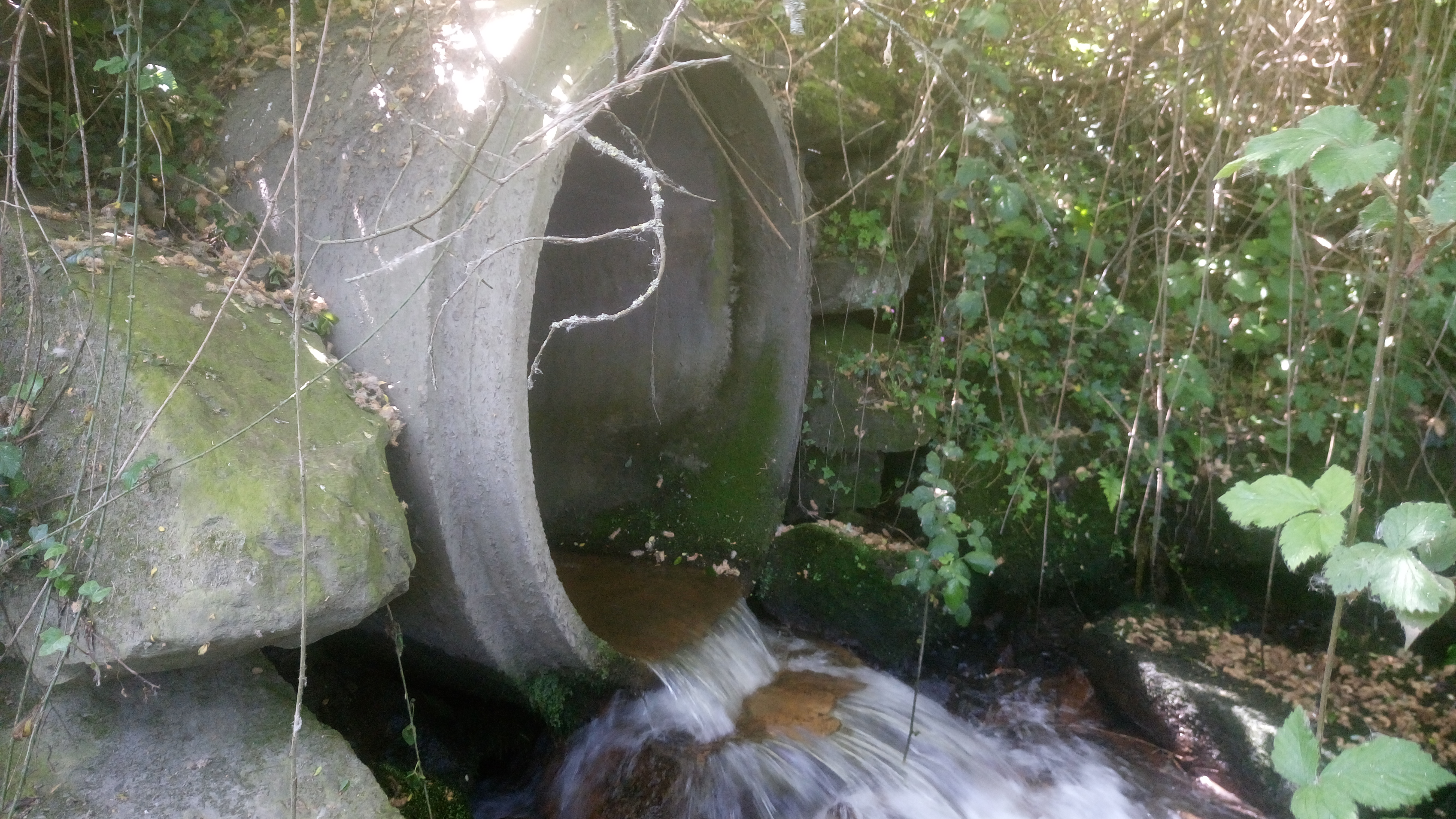 Suivi Régulier des Rejets (SRR)