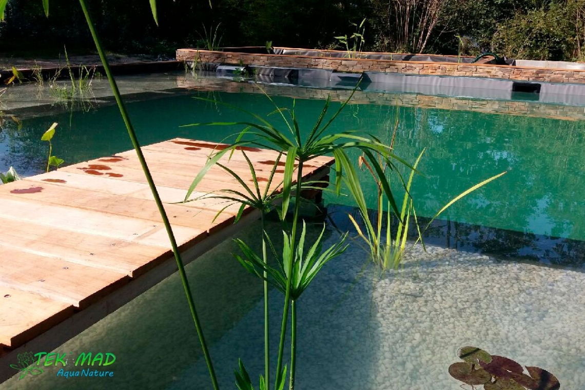 Baignade naturelle ou Piscine écologique ?